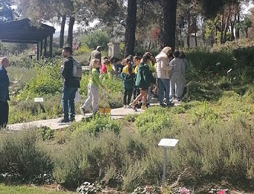 Μαθητές του Junior School παρακολούθησαν το πρόγραμμα «Ο Χαλκός και η Ιστορία του».