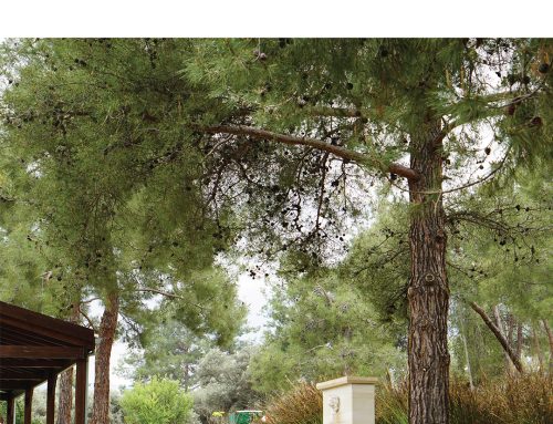 Καλό Δεκαπενταύγουστο!