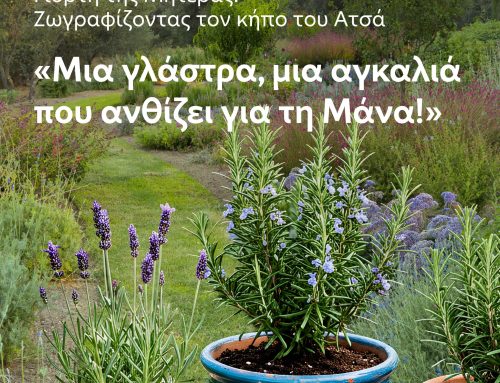 Μια γλάστρα, μια αγκαλιά που ανθίζει για τη Μάνα!