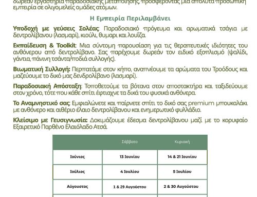 Βιώνουμε τη φύση μέσω βιωματικών εργαστηρίων (απόσταξη δεντρολίβανου)